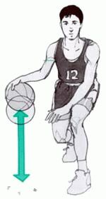 dribble1.JPG - 10,957Bytes