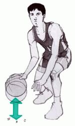 dribble2.JPG - 11,235Bytes